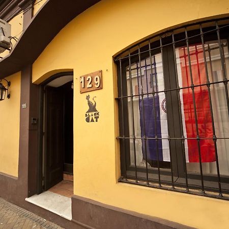 亚松森 布莱克卡特旅馆旅舍 外观 照片